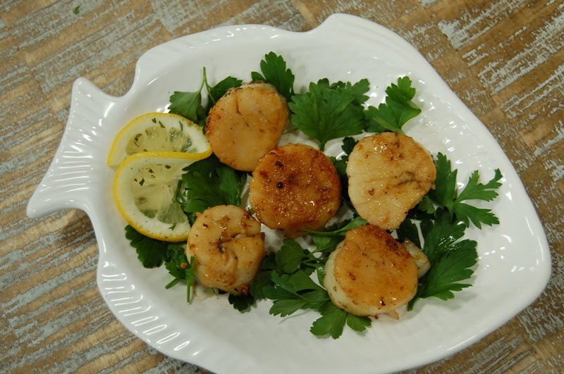 Sea Scallops